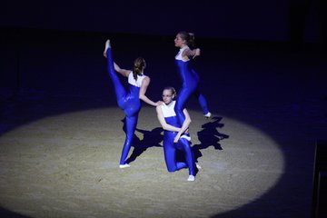 Bild 39 - Hansepferd Gala am 18.4.10